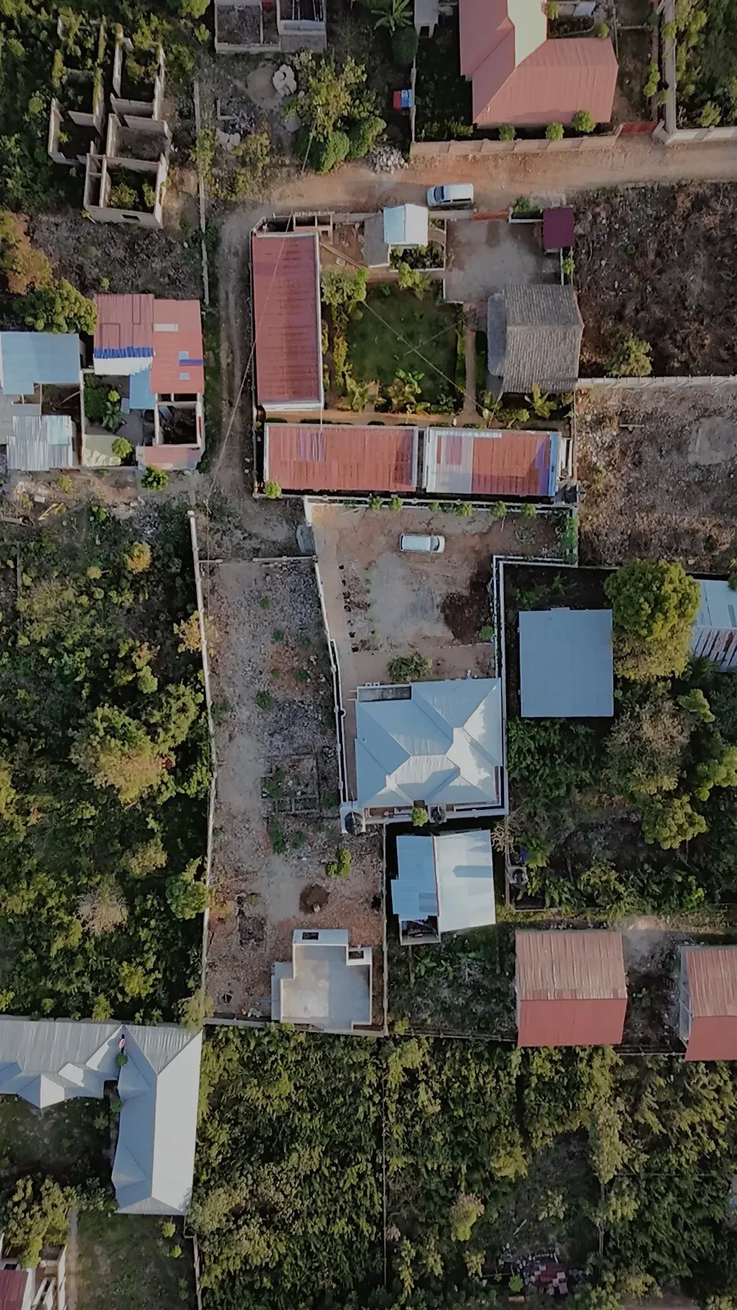 birds view